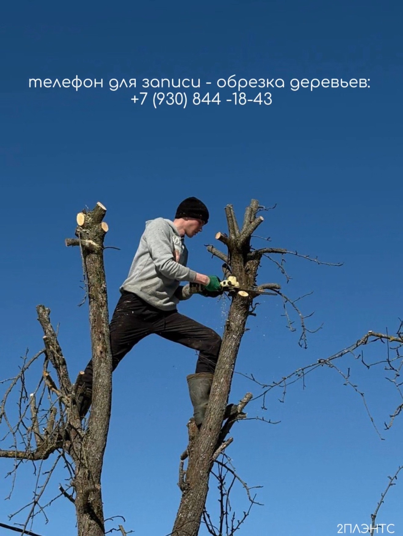 Весенняя санитарная обрезка сада стартовала!